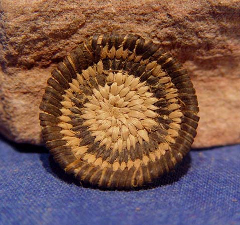 Miniature Pima Basket