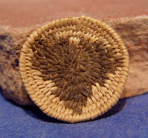 Miniature Pima Basket c. 1930-40
