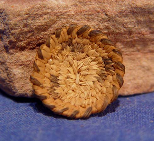 Miniature Pima basket C. 1930-40