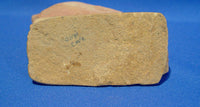 Hohokam paint palette with Red Ochre