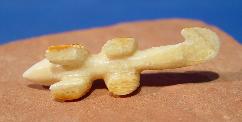 Fossil Ivory Lizard Fetish With Turquoise Eyes