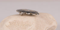 101211-072 - Image 1