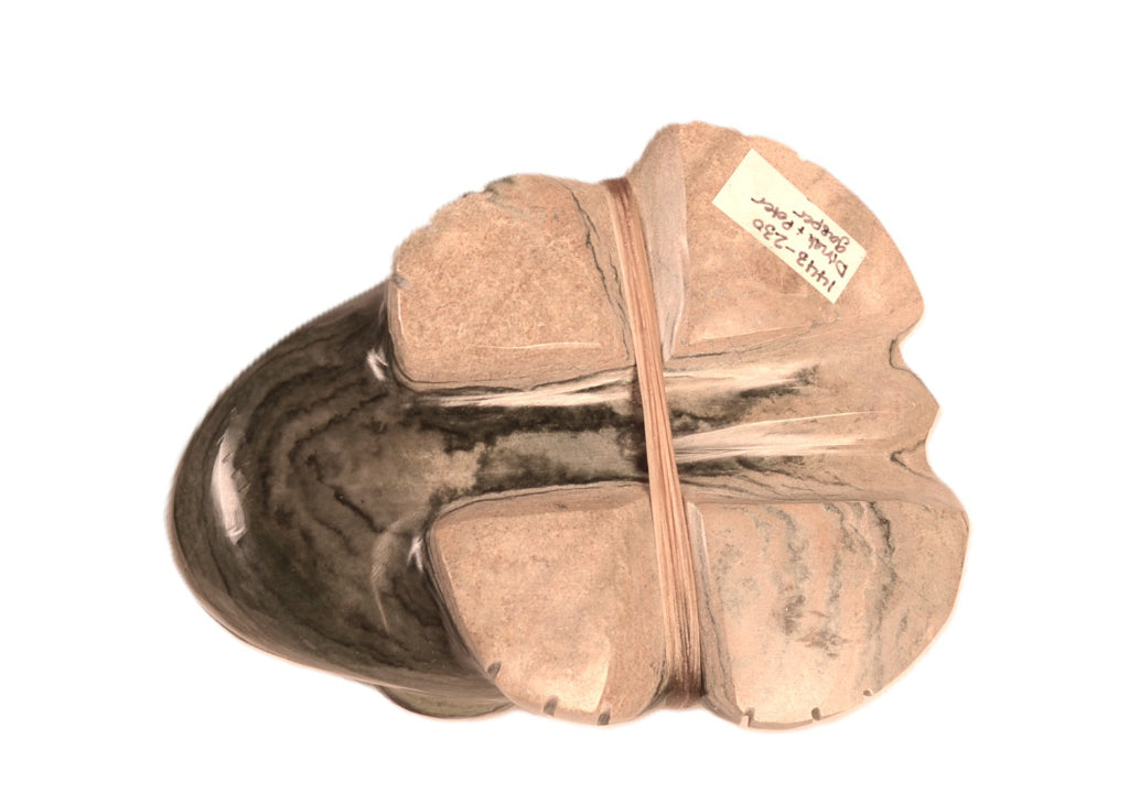 Very Large Serpentine Frog Fetish By Peter and Dinah Gasper