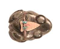 Very Large Serpentine Frog Fetish By Peter and Dinah Gasper