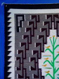 Navajo Pictorial Rug - Blanket