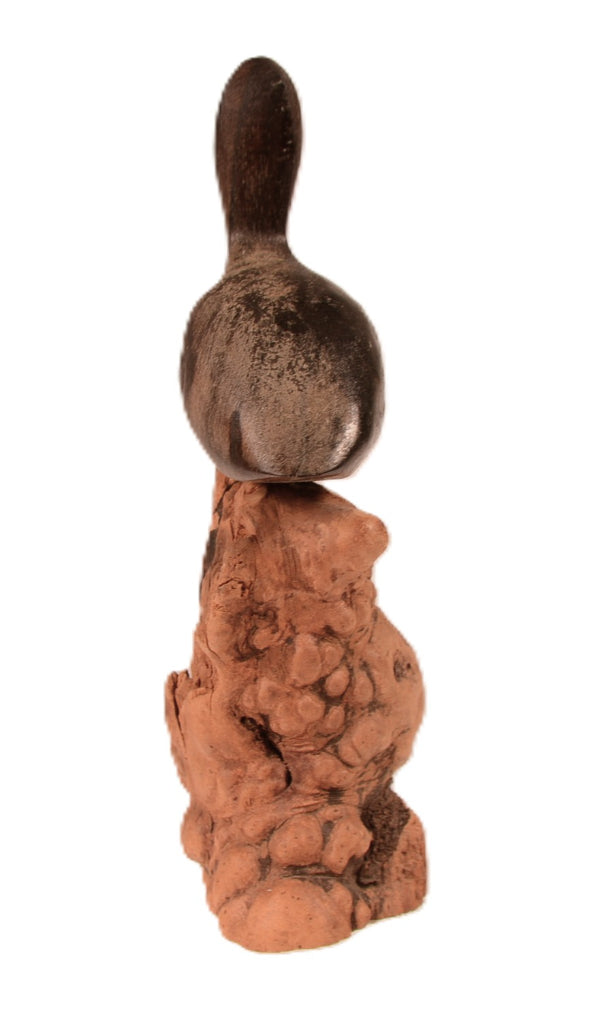 Mexican Small Pelican Carving