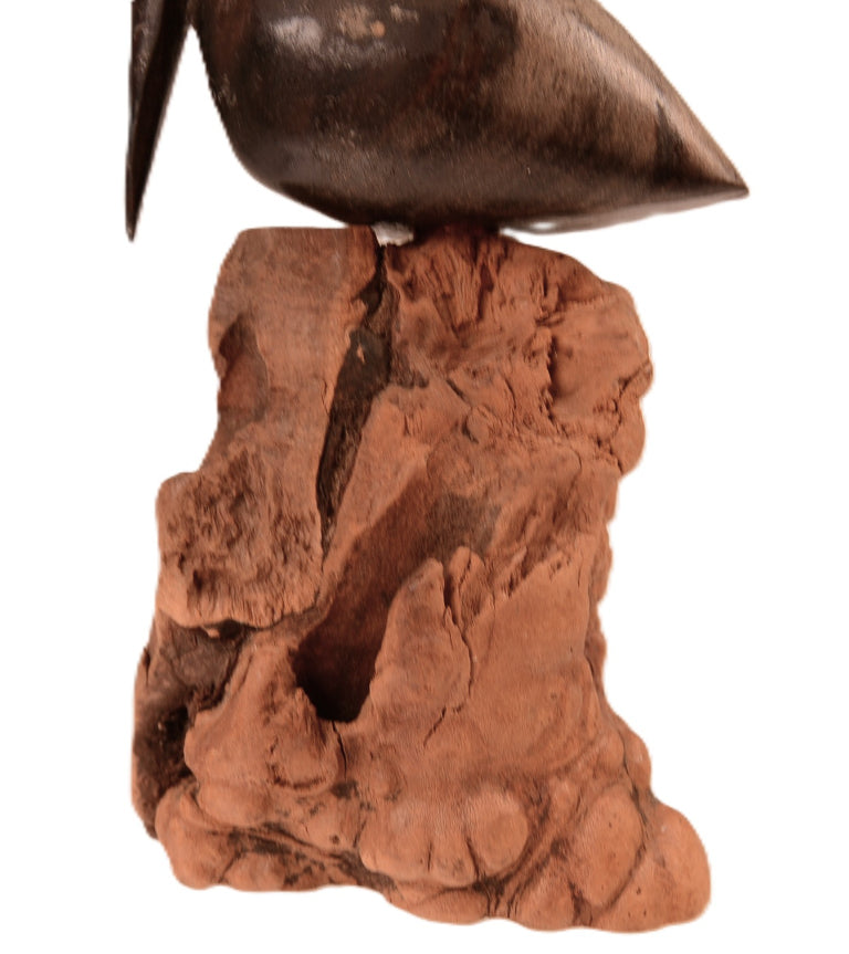 Mexican Small Pelican Carving