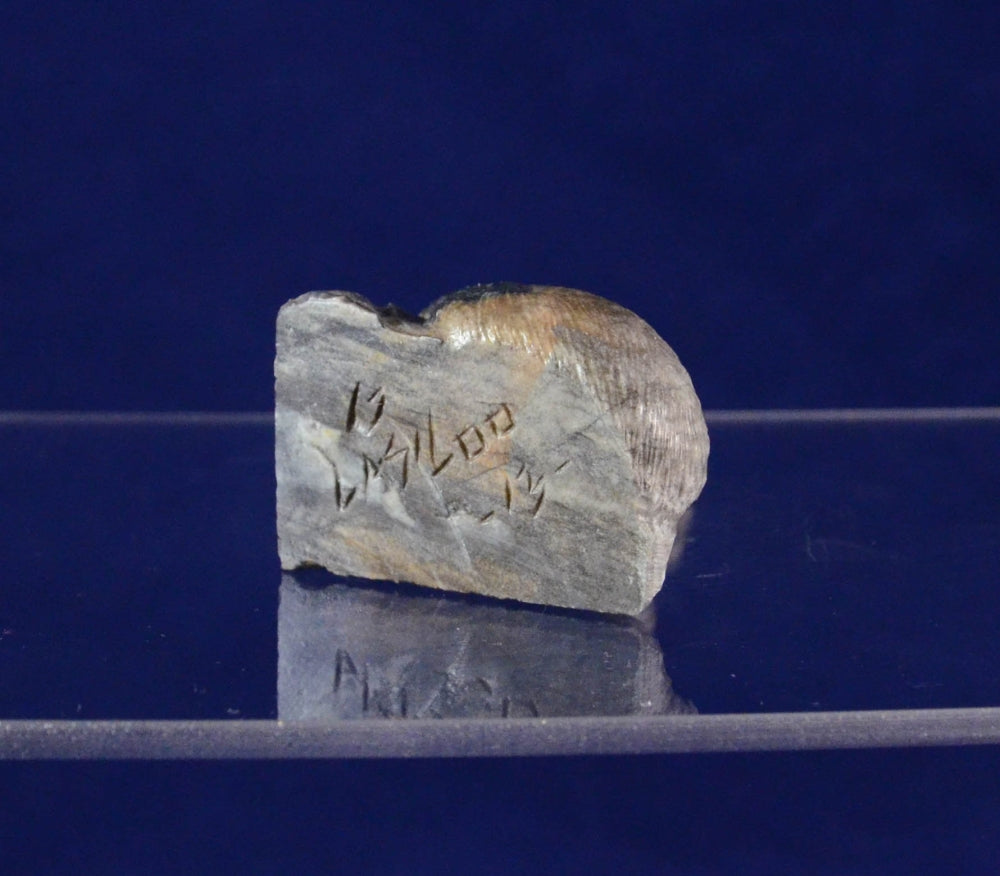 Squirrel Fetish in Picasso Marble by G. Lasiloo