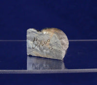 Squirrel Fetish in Picasso Marble by G. Lasiloo