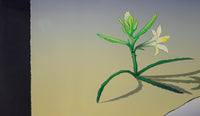 R.C. Gorman Desert Lily