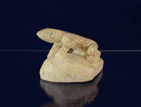 Zuni Lizard Fetish on Rock by Maxx Laate