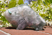 Large Zuni Bison Fetish in Fluorite with Turquoise Eyes and Horns by Lynn Quam