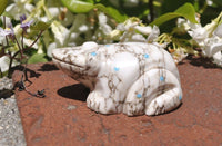 Zuni Veined white marble Frog Fetish by Tyler Quam