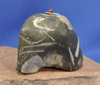 Zuni Medicine Bear Fetish by Bryson Bobelu in Fossil Stone