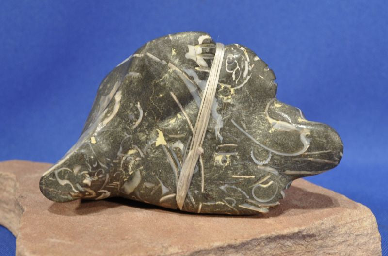 Zuni Medicine Bear Fetish by Bryson Bobelu in Fossil Stone