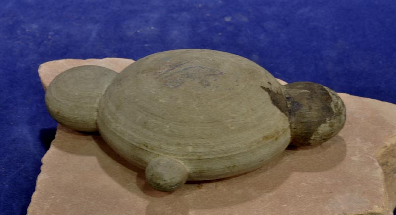 Hohokam Animal Stone Fetish Accretion