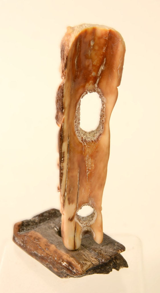 150327-01 - Image 5