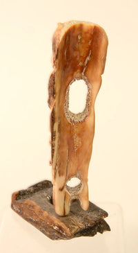 150327-01 - Image 5