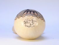 Jemez Pottery: Wedding Jar by Juanita Fragua - Polychrome