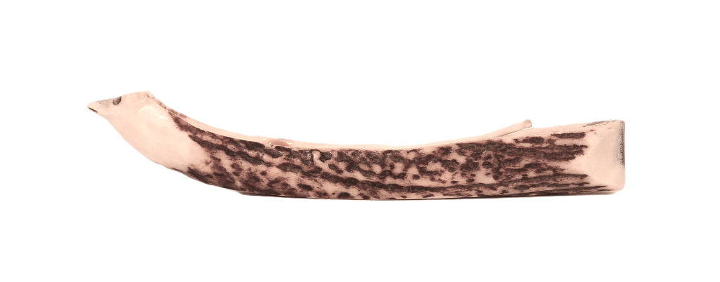 North West Coast Carved Antler Canoe
