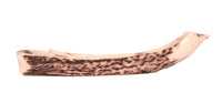 North West Coast Carved Antler Canoe