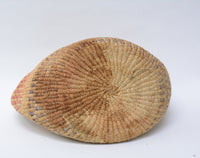 Fine Native Cascade - Plateau Indian Root Bag