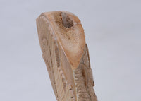 180601-06 - Image 4