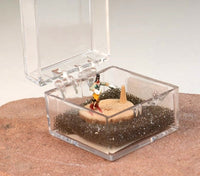 Hopi Kachina Micro Miniature Doll in Box By Mae-Hunch