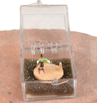 Hopi Kachina Micro Miniature Doll in Box By Mae-Hunch
