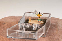 Hopi Kachina Micro Miniature Doll in Box By Mae-Hunch