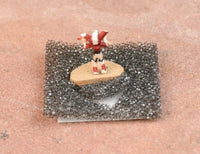 Hopi Kachina Micro Miniature Doll in a Box By Mae-Hunch