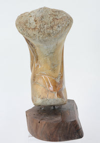 "Bowhead Whale" Bone Carving by Sam Dimmick