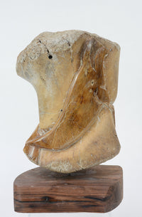 "Bowhead Whale" Bone Carving by Sam Dimmick