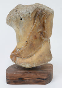 "Bowhead Whale" Bone Carving by Sam Dimmick
