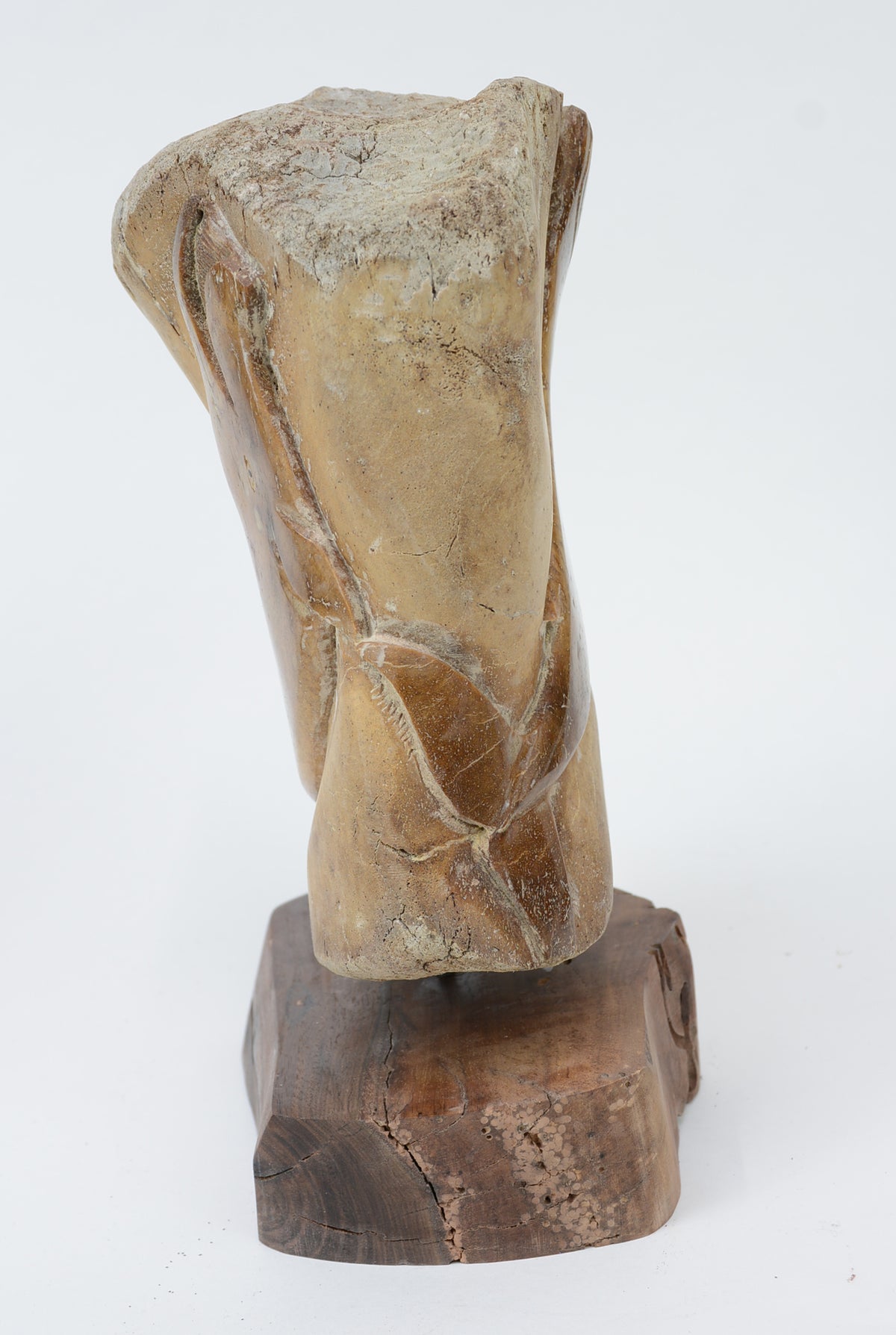 "Bowhead Whale" Bone Carving by Sam Dimmick