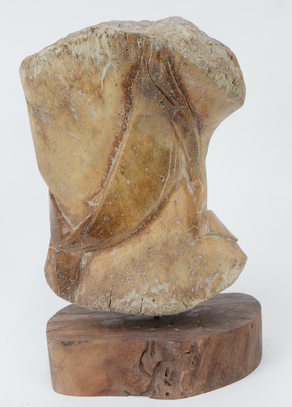 "Bowhead Whale" Bone Carving by Sam Dimmick