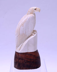 200702-01 - Image 2