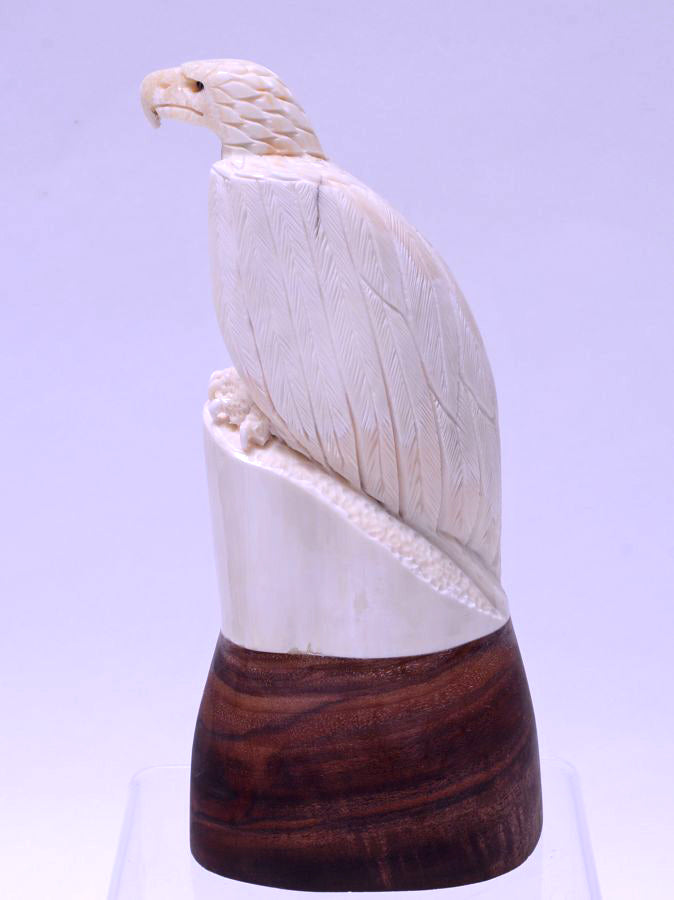 200702-01 - Image 4