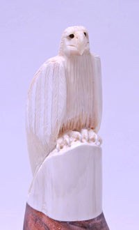 200702-01 - Image 7