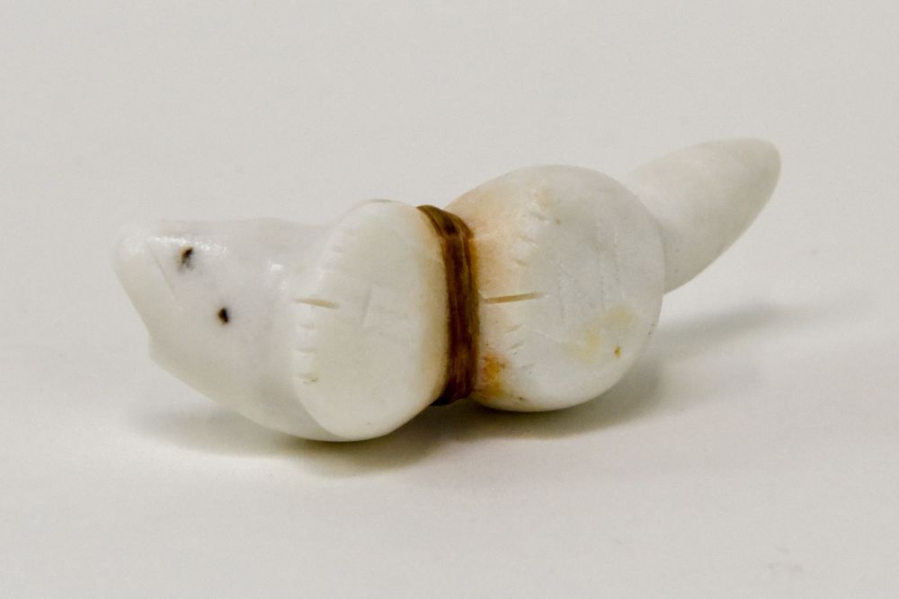 Zuni White Fox or Wolf by Herbert Halate