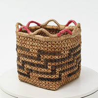 Salish basket with ears