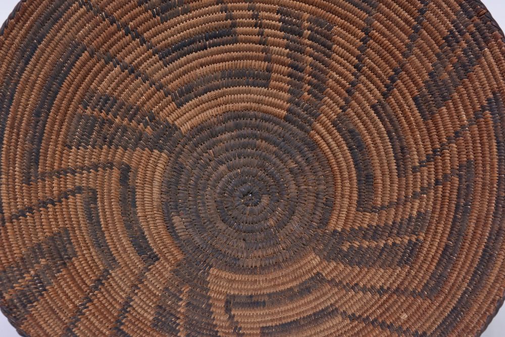 210324-41 - Image 4