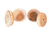 Maliseet Porcupine Stitch Baskets with Lid Pair of 2