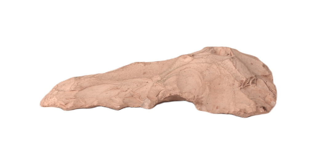 Early Man Stone Large Blade Artifact