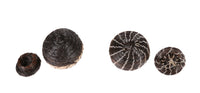 Pima Horsehair Miniature Baskets with Lids Pair of 2