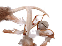 Navajo Antler Stick