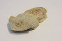 211020-14 - Image 2