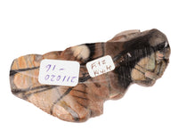 Zuni Pueblo Double Horned Toad Fetish By Fitz Kiyite