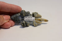 Zuni Fetish by Nelson Yatsattie - Horned Toad Lizard of Picasso Marble