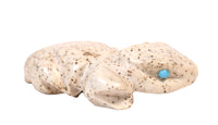 Zuni Pueblo Horned Toad Lizard Fetish